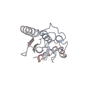 40617_8sn9_L_v1-1
Cryo-EM structure of the human nucleosome core particle in complex with RNF168 and UbcH5c with backside ubiquitin (UbcH5c chemically conjugated to histone H2A) (class 1)