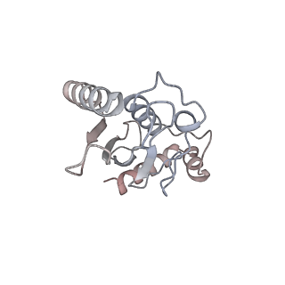 40617_8sn9_L_v1-2
Cryo-EM structure of the human nucleosome core particle in complex with RNF168 and UbcH5c with backside ubiquitin (UbcH5c chemically conjugated to histone H2A) (class 1)