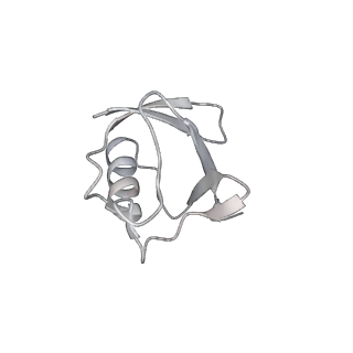 40617_8sn9_M_v1-2
Cryo-EM structure of the human nucleosome core particle in complex with RNF168 and UbcH5c with backside ubiquitin (UbcH5c chemically conjugated to histone H2A) (class 1)