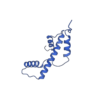 40618_8sna_A_v1-1
Cryo-EM structure of the human nucleosome core particle in complex with RNF168 and UbcH5c with backside ubiquitin (UbcH5c chemically conjugated to histone H2A) (class 2)