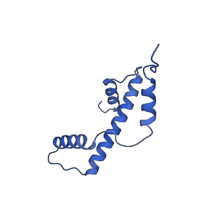 40618_8sna_A_v1-2
Cryo-EM structure of the human nucleosome core particle in complex with RNF168 and UbcH5c with backside ubiquitin (UbcH5c chemically conjugated to histone H2A) (class 2)