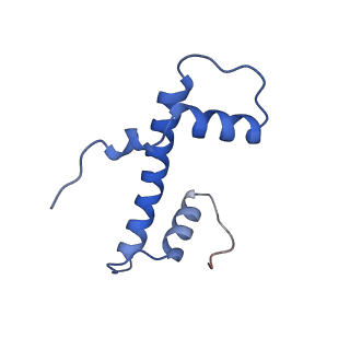 40618_8sna_B_v1-2
Cryo-EM structure of the human nucleosome core particle in complex with RNF168 and UbcH5c with backside ubiquitin (UbcH5c chemically conjugated to histone H2A) (class 2)