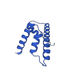 40618_8sna_D_v1-2
Cryo-EM structure of the human nucleosome core particle in complex with RNF168 and UbcH5c with backside ubiquitin (UbcH5c chemically conjugated to histone H2A) (class 2)