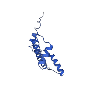40618_8sna_E_v1-1
Cryo-EM structure of the human nucleosome core particle in complex with RNF168 and UbcH5c with backside ubiquitin (UbcH5c chemically conjugated to histone H2A) (class 2)