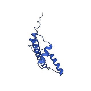 40618_8sna_E_v1-2
Cryo-EM structure of the human nucleosome core particle in complex with RNF168 and UbcH5c with backside ubiquitin (UbcH5c chemically conjugated to histone H2A) (class 2)