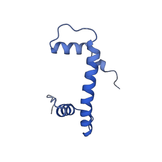 40618_8sna_F_v1-2
Cryo-EM structure of the human nucleosome core particle in complex with RNF168 and UbcH5c with backside ubiquitin (UbcH5c chemically conjugated to histone H2A) (class 2)