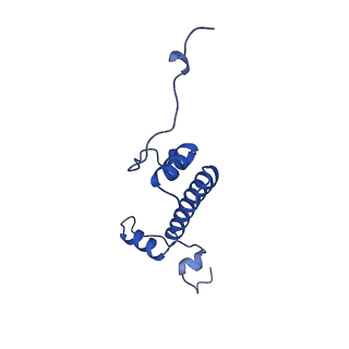 40618_8sna_G_v1-1
Cryo-EM structure of the human nucleosome core particle in complex with RNF168 and UbcH5c with backside ubiquitin (UbcH5c chemically conjugated to histone H2A) (class 2)