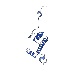40618_8sna_G_v1-2
Cryo-EM structure of the human nucleosome core particle in complex with RNF168 and UbcH5c with backside ubiquitin (UbcH5c chemically conjugated to histone H2A) (class 2)