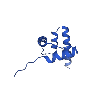 40618_8sna_H_v1-2
Cryo-EM structure of the human nucleosome core particle in complex with RNF168 and UbcH5c with backside ubiquitin (UbcH5c chemically conjugated to histone H2A) (class 2)