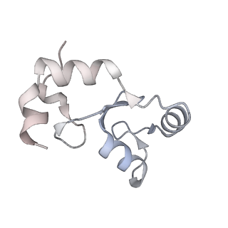 40618_8sna_K_v1-2
Cryo-EM structure of the human nucleosome core particle in complex with RNF168 and UbcH5c with backside ubiquitin (UbcH5c chemically conjugated to histone H2A) (class 2)