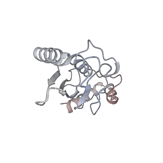 40618_8sna_L_v1-1
Cryo-EM structure of the human nucleosome core particle in complex with RNF168 and UbcH5c with backside ubiquitin (UbcH5c chemically conjugated to histone H2A) (class 2)