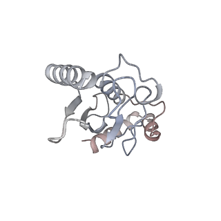 40618_8sna_L_v1-2
Cryo-EM structure of the human nucleosome core particle in complex with RNF168 and UbcH5c with backside ubiquitin (UbcH5c chemically conjugated to histone H2A) (class 2)