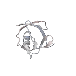 40618_8sna_M_v1-2
Cryo-EM structure of the human nucleosome core particle in complex with RNF168 and UbcH5c with backside ubiquitin (UbcH5c chemically conjugated to histone H2A) (class 2)