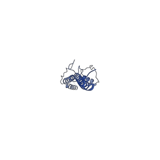 40619_8snb_1F_v1-0
atomic model of sea urchin sperm doublet microtubule (48-nm periodicity)