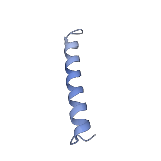 40619_8snb_1j_v1-0
atomic model of sea urchin sperm doublet microtubule (48-nm periodicity)