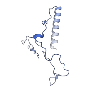 40619_8snb_2J_v1-0
atomic model of sea urchin sperm doublet microtubule (48-nm periodicity)