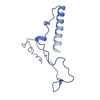 40619_8snb_2K_v1-0
atomic model of sea urchin sperm doublet microtubule (48-nm periodicity)