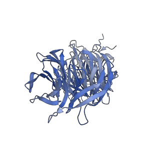 40619_8snb_4A_v1-0
atomic model of sea urchin sperm doublet microtubule (48-nm periodicity)