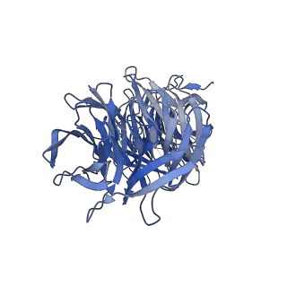 40619_8snb_4B_v1-0
atomic model of sea urchin sperm doublet microtubule (48-nm periodicity)