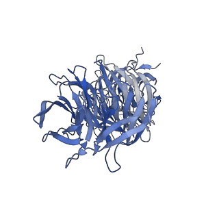 40619_8snb_4C_v1-0
atomic model of sea urchin sperm doublet microtubule (48-nm periodicity)