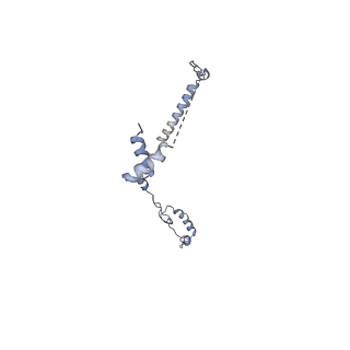 40619_8snb_4P_v1-0
atomic model of sea urchin sperm doublet microtubule (48-nm periodicity)