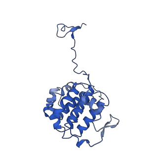 40619_8snb_6D_v1-0
atomic model of sea urchin sperm doublet microtubule (48-nm periodicity)
