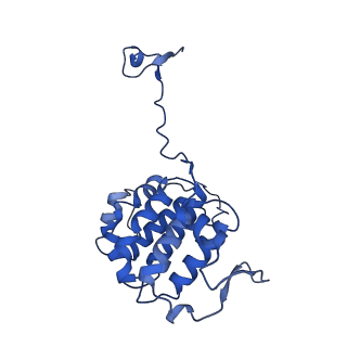 40619_8snb_6E_v1-0
atomic model of sea urchin sperm doublet microtubule (48-nm periodicity)