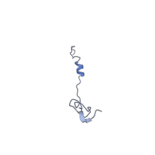 40619_8snb_6J_v1-0
atomic model of sea urchin sperm doublet microtubule (48-nm periodicity)