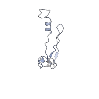 40619_8snb_9J_v1-0
atomic model of sea urchin sperm doublet microtubule (48-nm periodicity)