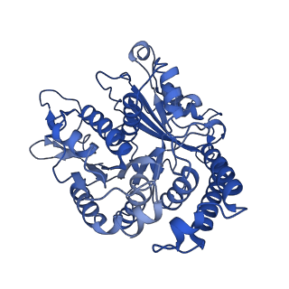 40619_8snb_AI_v1-0
atomic model of sea urchin sperm doublet microtubule (48-nm periodicity)