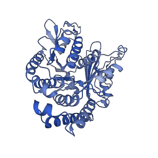 40619_8snb_CJ_v1-0
atomic model of sea urchin sperm doublet microtubule (48-nm periodicity)