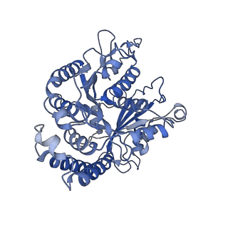 40619_8snb_DA_v1-0
atomic model of sea urchin sperm doublet microtubule (48-nm periodicity)