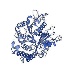 40619_8snb_DE_v1-0
atomic model of sea urchin sperm doublet microtubule (48-nm periodicity)
