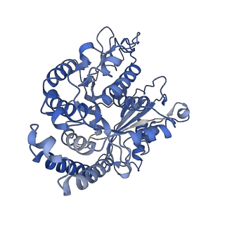 40619_8snb_DG_v1-0
atomic model of sea urchin sperm doublet microtubule (48-nm periodicity)
