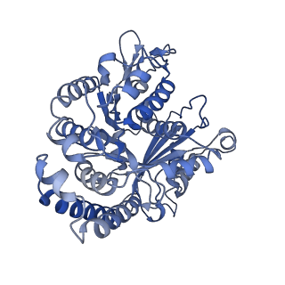 40619_8snb_DI_v1-0
atomic model of sea urchin sperm doublet microtubule (48-nm periodicity)