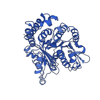 40619_8snb_HC_v1-0
atomic model of sea urchin sperm doublet microtubule (48-nm periodicity)