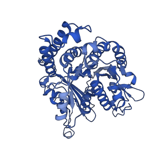 40619_8snb_HJ_v1-0
atomic model of sea urchin sperm doublet microtubule (48-nm periodicity)