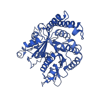40619_8snb_JB_v1-0
atomic model of sea urchin sperm doublet microtubule (48-nm periodicity)