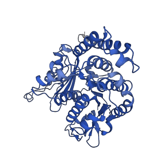 40619_8snb_JC_v1-0
atomic model of sea urchin sperm doublet microtubule (48-nm periodicity)