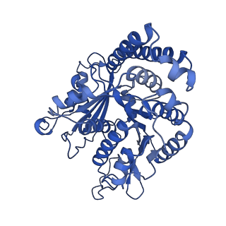 40619_8snb_JI_v1-0
atomic model of sea urchin sperm doublet microtubule (48-nm periodicity)