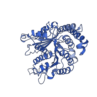40619_8snb_KG_v1-0
atomic model of sea urchin sperm doublet microtubule (48-nm periodicity)