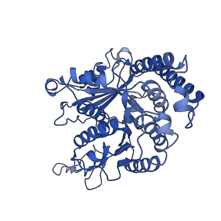 40619_8snb_KK_v1-0
atomic model of sea urchin sperm doublet microtubule (48-nm periodicity)