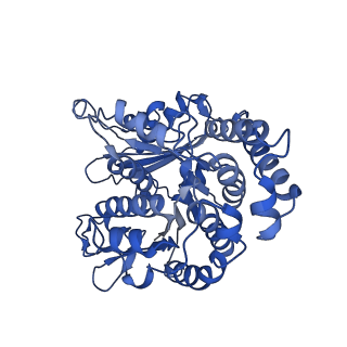 40619_8snb_LC_v1-0
atomic model of sea urchin sperm doublet microtubule (48-nm periodicity)