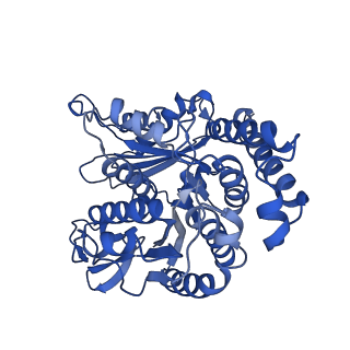 40619_8snb_LD_v1-0
atomic model of sea urchin sperm doublet microtubule (48-nm periodicity)