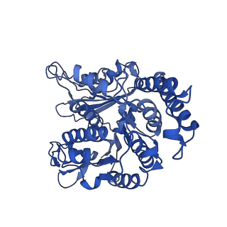 40619_8snb_LF_v1-0
atomic model of sea urchin sperm doublet microtubule (48-nm periodicity)