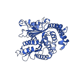 40619_8snb_LG_v1-0
atomic model of sea urchin sperm doublet microtubule (48-nm periodicity)