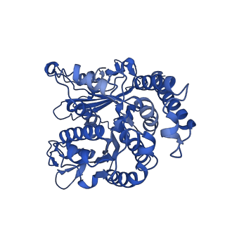 40619_8snb_LJ_v1-0
atomic model of sea urchin sperm doublet microtubule (48-nm periodicity)
