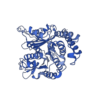 40619_8snb_LL_v1-0
atomic model of sea urchin sperm doublet microtubule (48-nm periodicity)