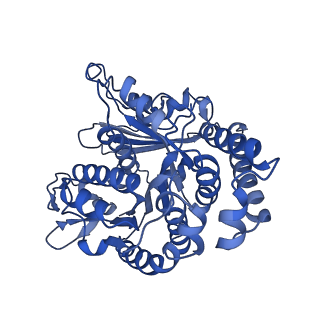 40619_8snb_MF_v1-0
atomic model of sea urchin sperm doublet microtubule (48-nm periodicity)