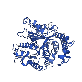40619_8snb_MI_v1-0
atomic model of sea urchin sperm doublet microtubule (48-nm periodicity)